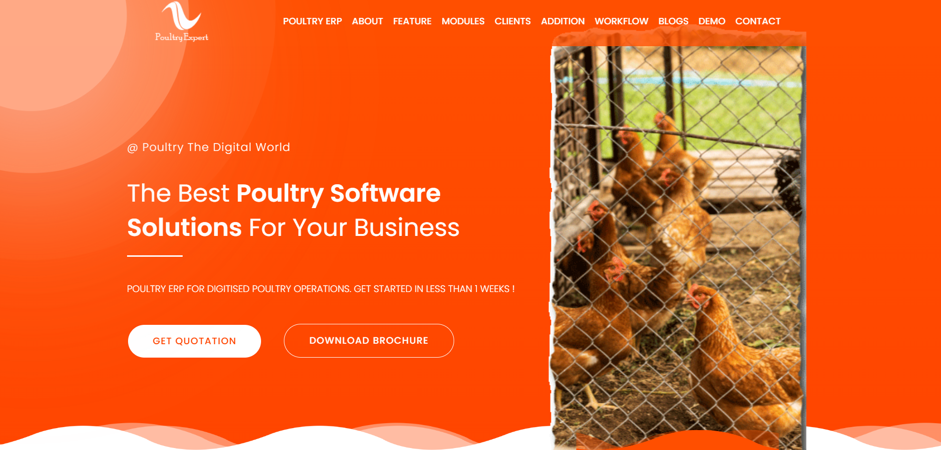 poultry website